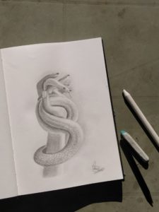 Lire la suite à propos de l’article Dessiner Bobby le serpent…